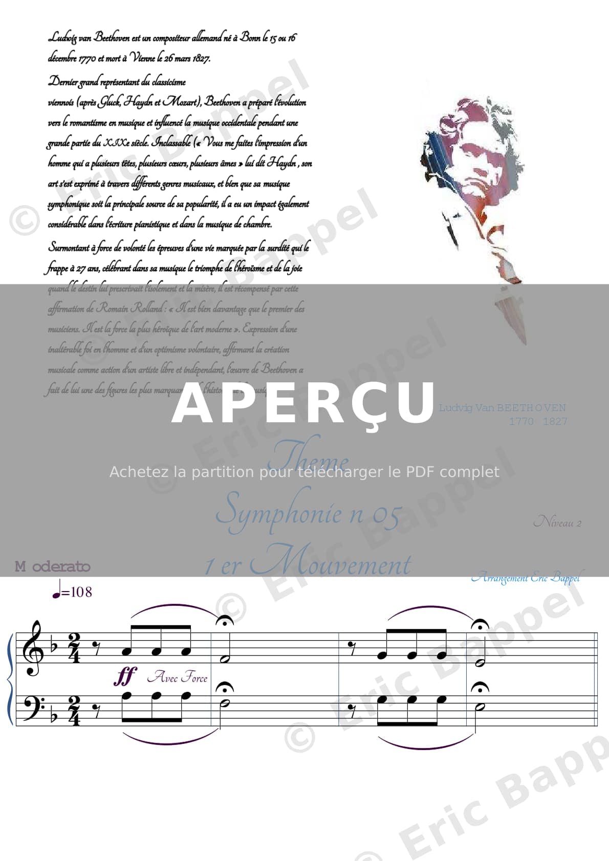 Symphonie n° 5 en Do mineur, Op. 67, arrangement pour piano (niveau 2) — Extrait page 1 sur 2