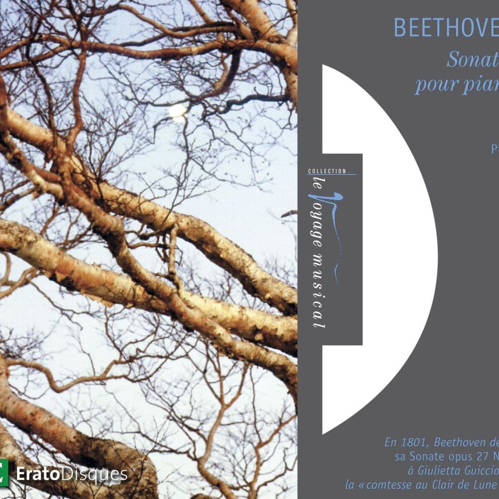 Beethoven: Sonates pour piano No. 8 "Pathétique", No. 14 "Clair de lune", No. 17 "La tempête" & No. 23 "Appassionata"